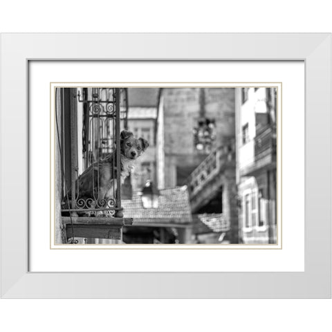 Untitled White Modern Wood Framed Art Print with Double Matting by Carlos, KK