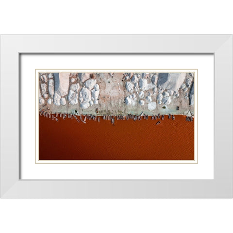 Feeding On Salt White Modern Wood Framed Art Print with Double Matting by Epure, Paul-Vlad