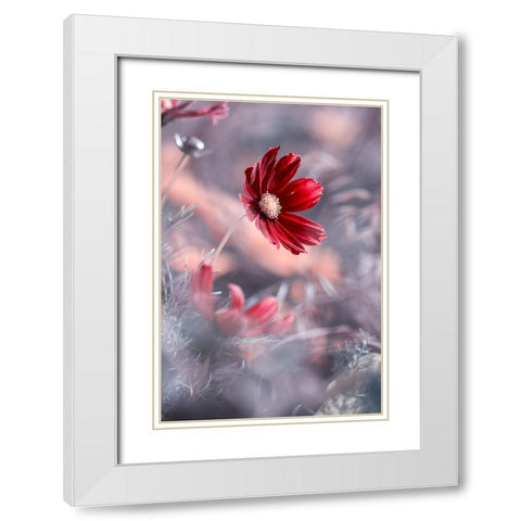 Carmen II White Modern Wood Framed Art Print with Double Matting by BRAVIN, Fabien