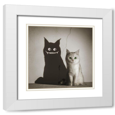 The Shadow Smiles To You White Modern Wood Framed Art Print with Double Matting by F, Terry