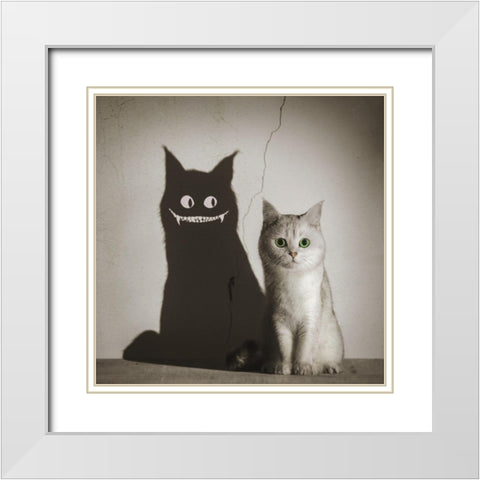 The Shadow Smiles To You White Modern Wood Framed Art Print with Double Matting by F, Terry