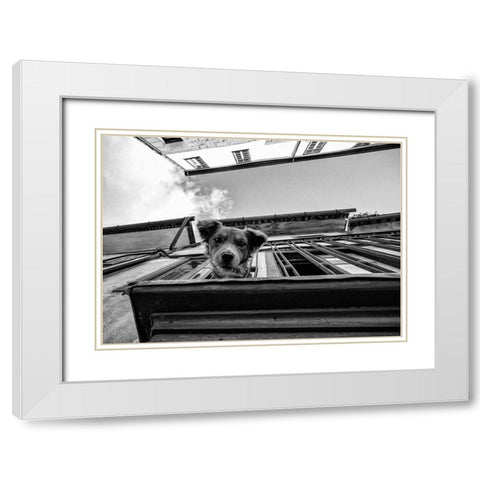 Untitled White Modern Wood Framed Art Print with Double Matting by Carlos