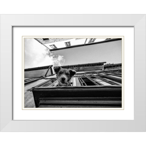Untitled White Modern Wood Framed Art Print with Double Matting by Carlos