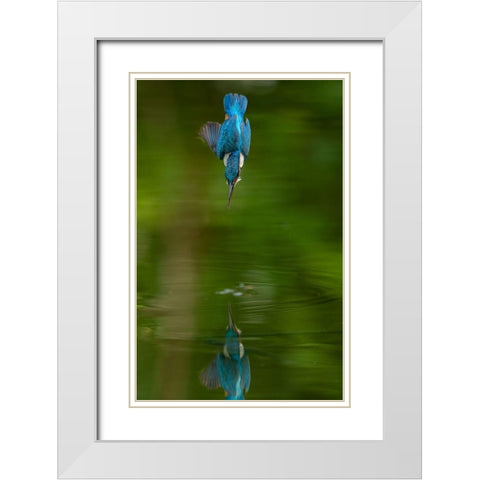 Pitchdown White Modern Wood Framed Art Print with Double Matting by Kennyc