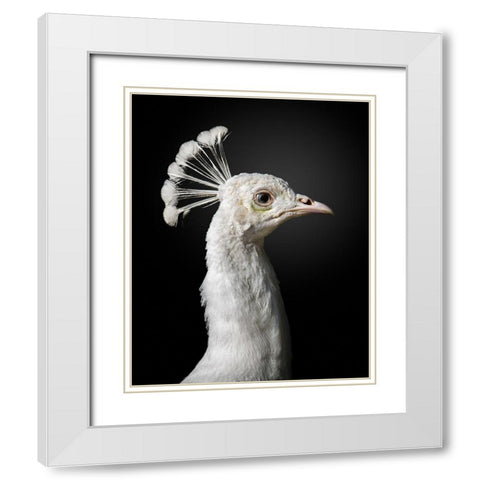 M A J E S T I C White Modern Wood Framed Art Print with Double Matting by Fegari