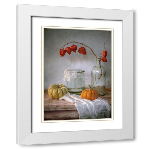 Still Life With Physalis And Pumpkin White Modern Wood Framed Art Print with Double Matting by Disher, Mandy