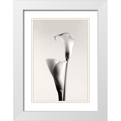 Calla White Modern Wood Framed Art Print with Double Matting by Hanchevici, Calin