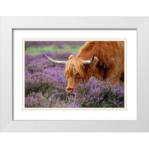 Highland Graze White Modern Wood Framed Art Print with Double Matting by Parker, Jacky