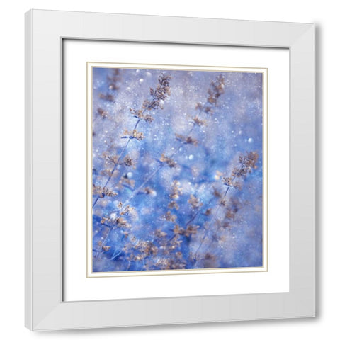 Early Winter White Modern Wood Framed Art Print with Double Matting by Devos, Delphine