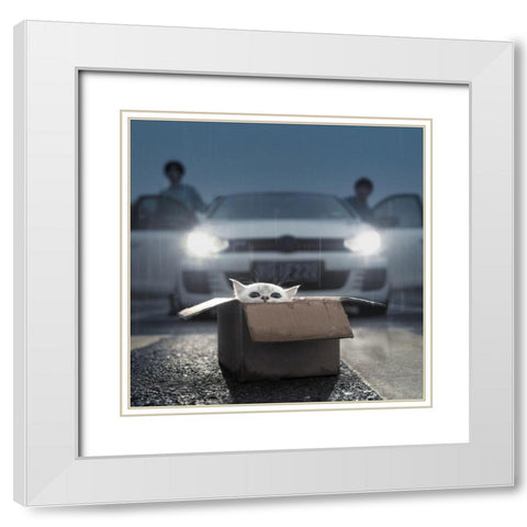 Cat White Modern Wood Framed Art Print with Double Matting by F, Terry