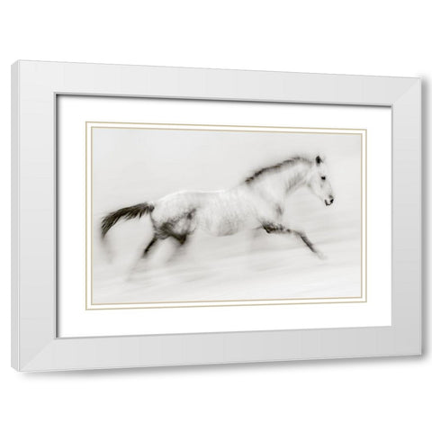 The Unique Brush Stroke White Modern Wood Framed Art Print with Double Matting by Benezech, Martine