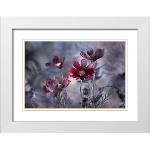 Cosmoslicious White Modern Wood Framed Art Print with Double Matting by Bravin, Fabien