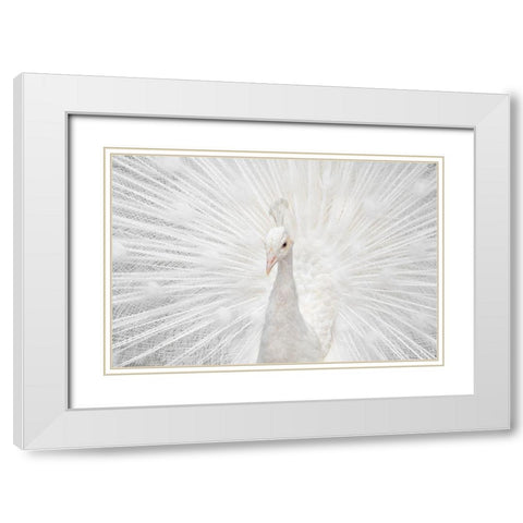 Splendid Whitie White Modern Wood Framed Art Print with Double Matting by Fegari