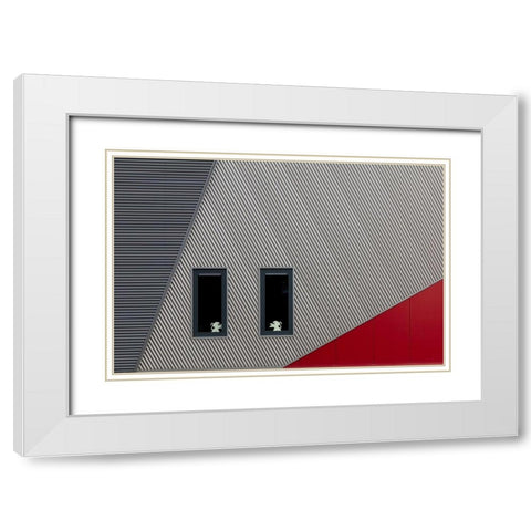 The White Lions White Modern Wood Framed Art Print with Double Matting by Luycx, Theo