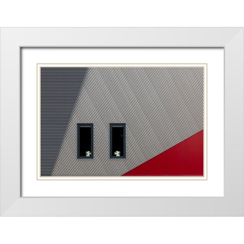 The White Lions White Modern Wood Framed Art Print with Double Matting by Luycx, Theo