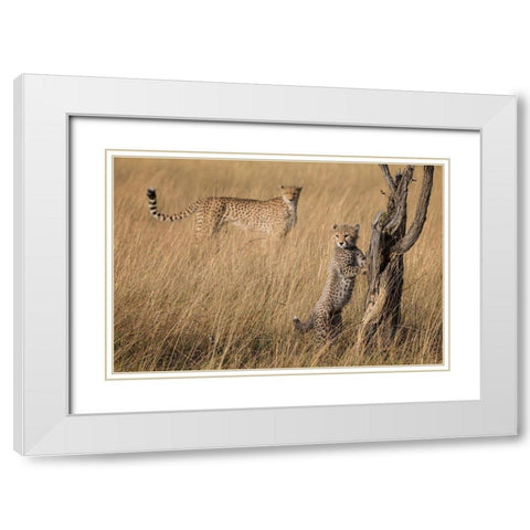 Ive Got It Mum White Modern Wood Framed Art Print with Double Matting by Doyle, Renee
