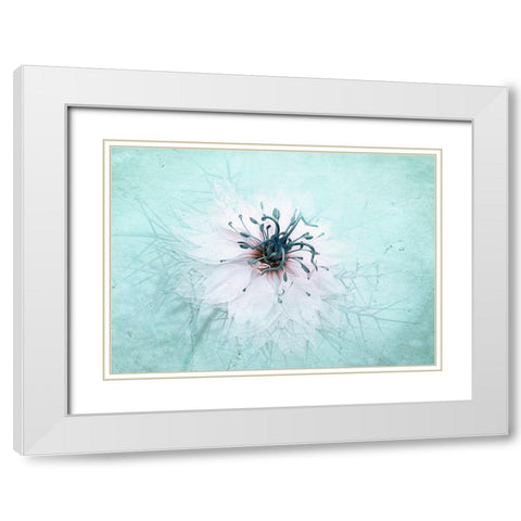 Misty Blue White Modern Wood Framed Art Print with Double Matting by Parker, Jacky