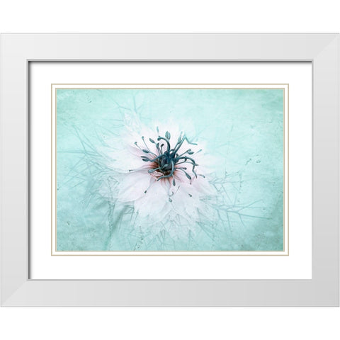 Misty Blue White Modern Wood Framed Art Print with Double Matting by Parker, Jacky