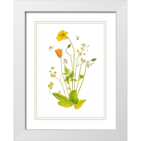 Fairy Garden White Modern Wood Framed Art Print with Double Matting by Williams, Sharon