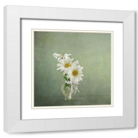 3 White Daisies White Modern Wood Framed Art Print with Double Matting by Gray, Gaille