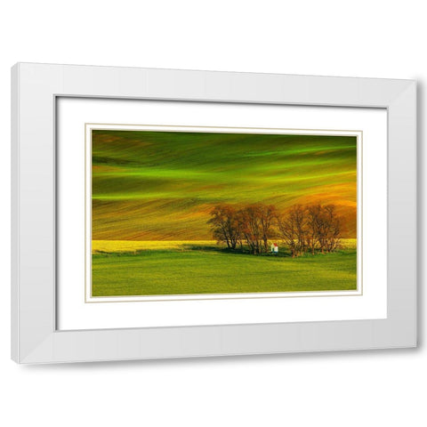 A Colorful Day White Modern Wood Framed Art Print with Double Matting by Cantemir, Mandru