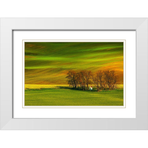 A Colorful Day White Modern Wood Framed Art Print with Double Matting by Cantemir, Mandru