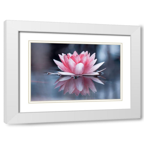 Padmasana White Modern Wood Framed Art Print with Double Matting by Bravin, Fabien