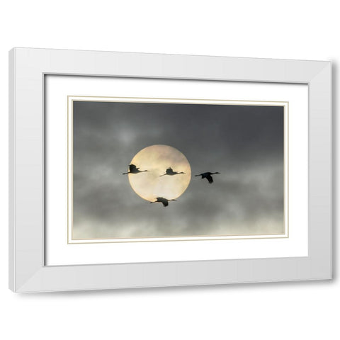 Over The Moon White Modern Wood Framed Art Print with Double Matting by Fan, John