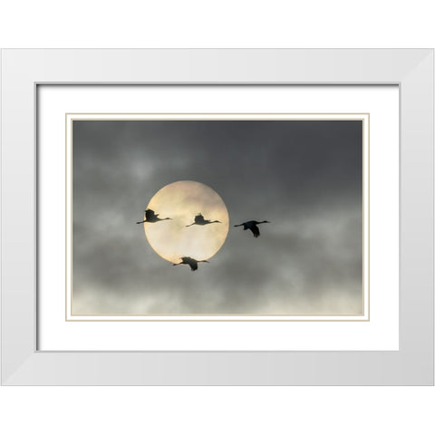 Over The Moon White Modern Wood Framed Art Print with Double Matting by Fan, John