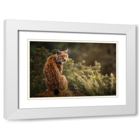 Lynx Fine Art. White Modern Wood Framed Art Print with Double Matting by Saavedra Ruiz, Sergio