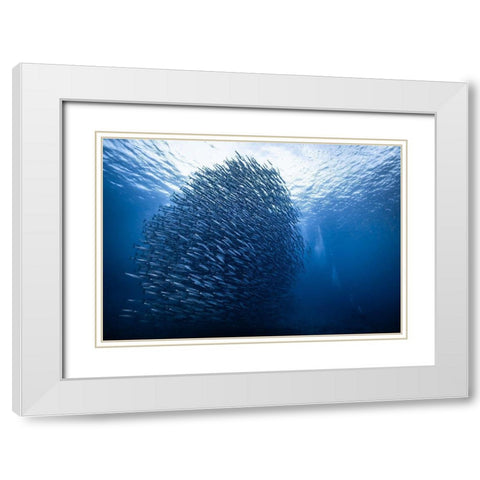 Mass Giant White Modern Wood Framed Art Print with Double Matting by Choi, Yonghoon