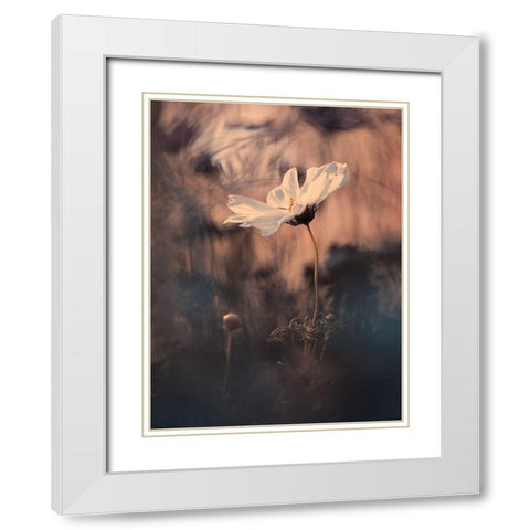 The Bride White Modern Wood Framed Art Print with Double Matting by Bravin, Fabien