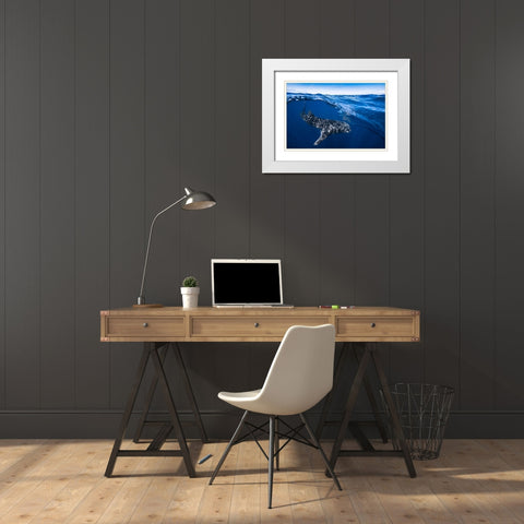 Whale Shark On Split Level White Modern Wood Framed Art Print with Double Matting by Gabriel, Barathieu