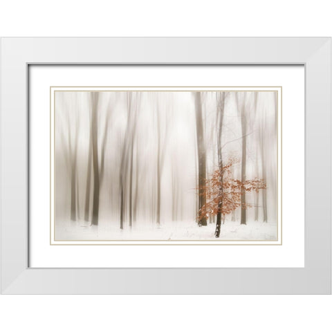 Winter White Modern Wood Framed Art Print with Double Matting by Tinak, Igor