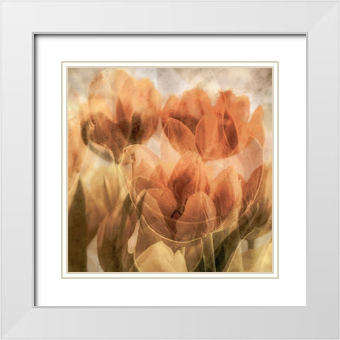 Tulips White Modern Wood Framed Art Print with Double Matting by Vangindertael, Luc