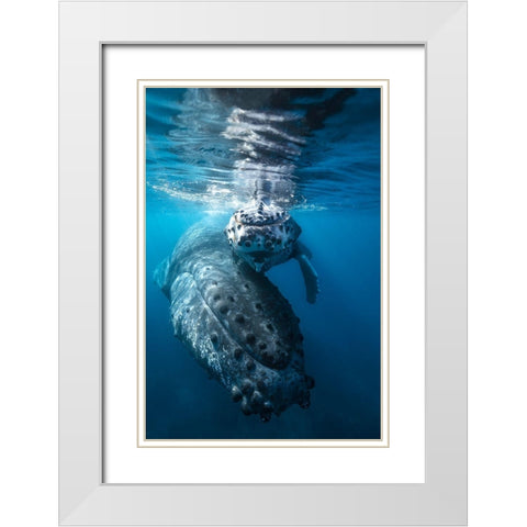 Humpback Whale And Calf White Modern Wood Framed Art Print with Double Matting by Gabriel, Barathieu