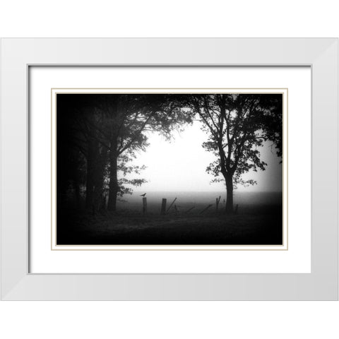 Early Bird White Modern Wood Framed Art Print with Double Matting by Van Bijnen, Jacqueline