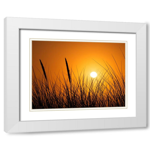 Coastal Beauty White Modern Wood Framed Art Print with Double Matting by Scott Johnson, Ronald