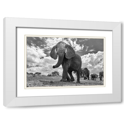Matriarch March White Modern Wood Framed Art Print with Double Matting by Hudson, Peter