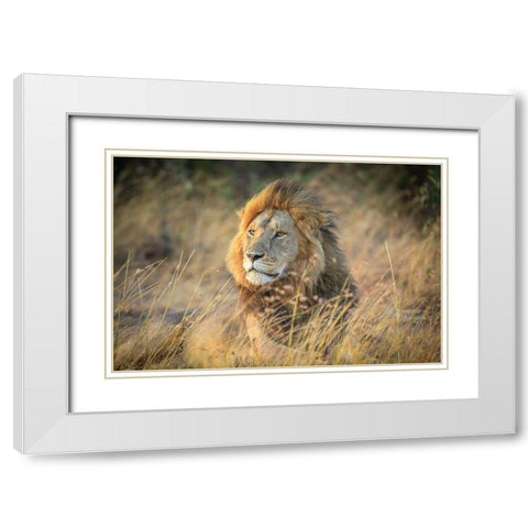 Blondie White Modern Wood Framed Art Print with Double Matting by C. Sink, Jeffrey