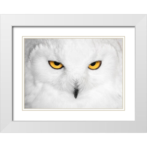 H Y P N O T I C S White Modern Wood Framed Art Print with Double Matting by Fegari