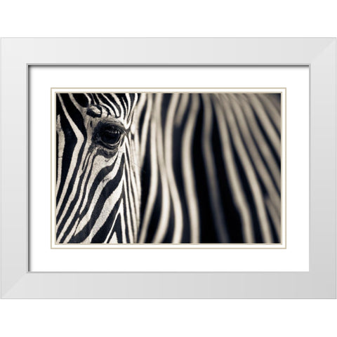 Eye A Stripes White Modern Wood Framed Art Print with Double Matting by Moreno, Mario