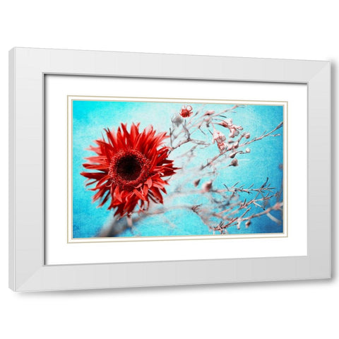 Marigold White Modern Wood Framed Art Print with Double Matting by Kreiten, Mike