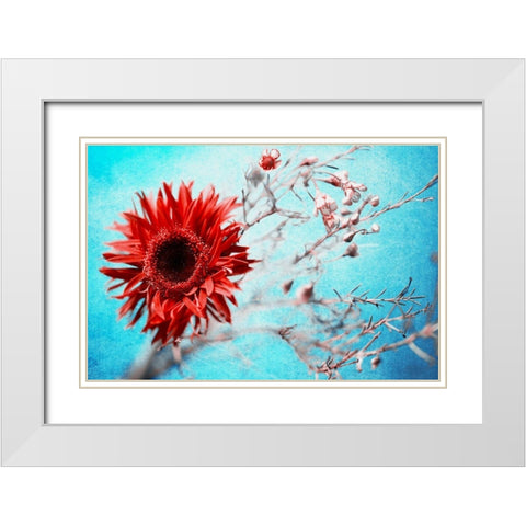 Marigold White Modern Wood Framed Art Print with Double Matting by Kreiten, Mike