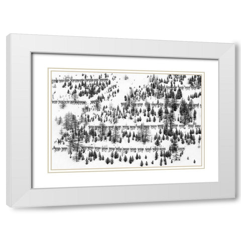 Trees And Fences White Modern Wood Framed Art Print with Double Matting by Hermann, Uschi