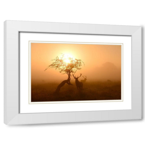 Guardians Of Light White Modern Wood Framed Art Print with Double Matting by Fabrowski, Robert
