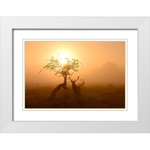 Guardians Of Light White Modern Wood Framed Art Print with Double Matting by Fabrowski, Robert