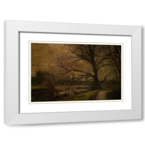 Old Tree White Modern Wood Framed Art Print with Double Matting by Talen, Nel