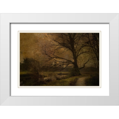 Old Tree White Modern Wood Framed Art Print with Double Matting by Talen, Nel