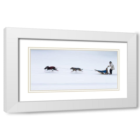 Sled Dogs Race - 1 White Modern Wood Framed Art Print with Double Matting by Chang, Cheng